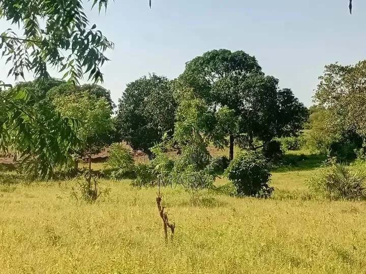 Selling Plot of Land