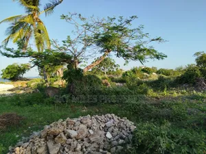 Malindi Casuarina, 7 Acres Beach Plot Available for Sale