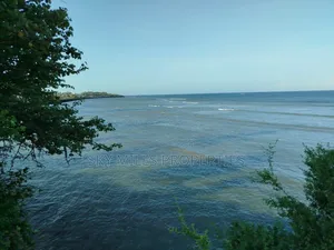 Malindi Casuarina, 7 Acres Beach Plot Available for Sale