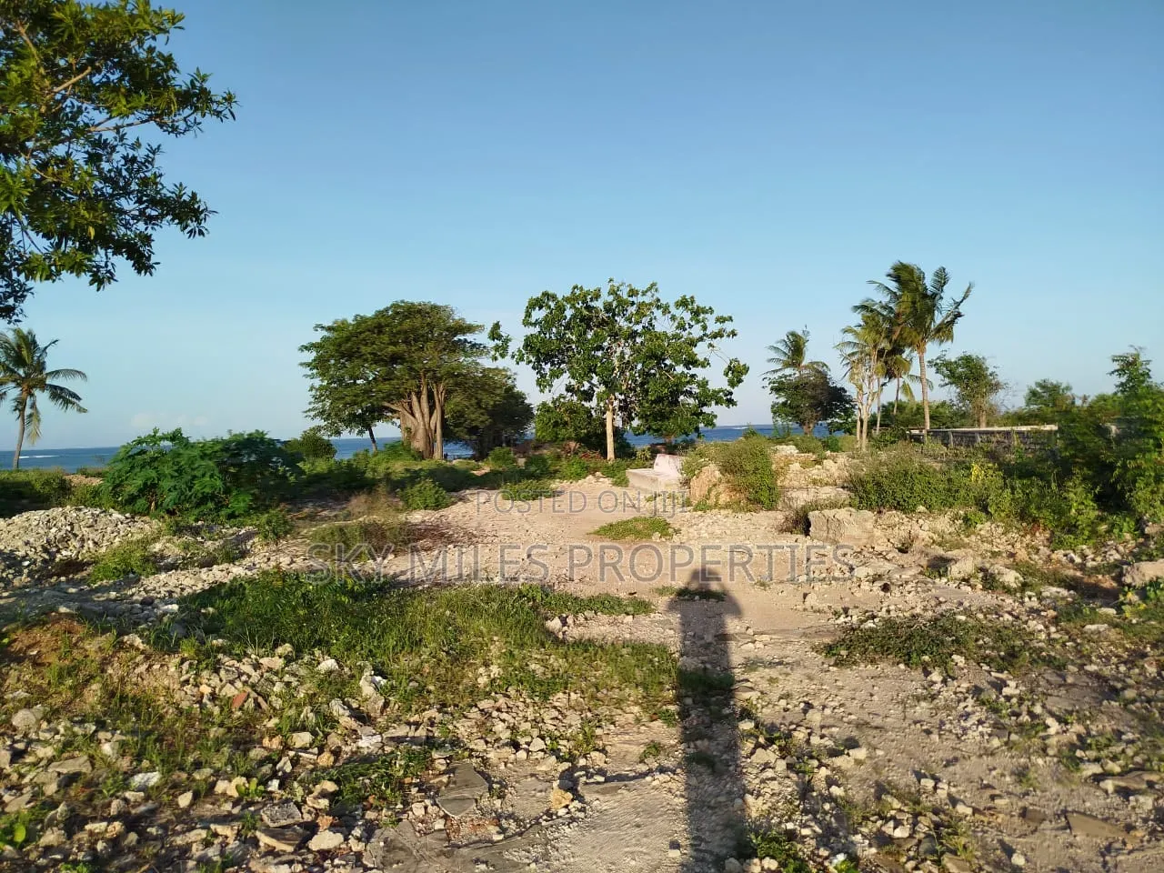 Malindi Casuarina, 7 Acres Beach Plot Available for Sale
