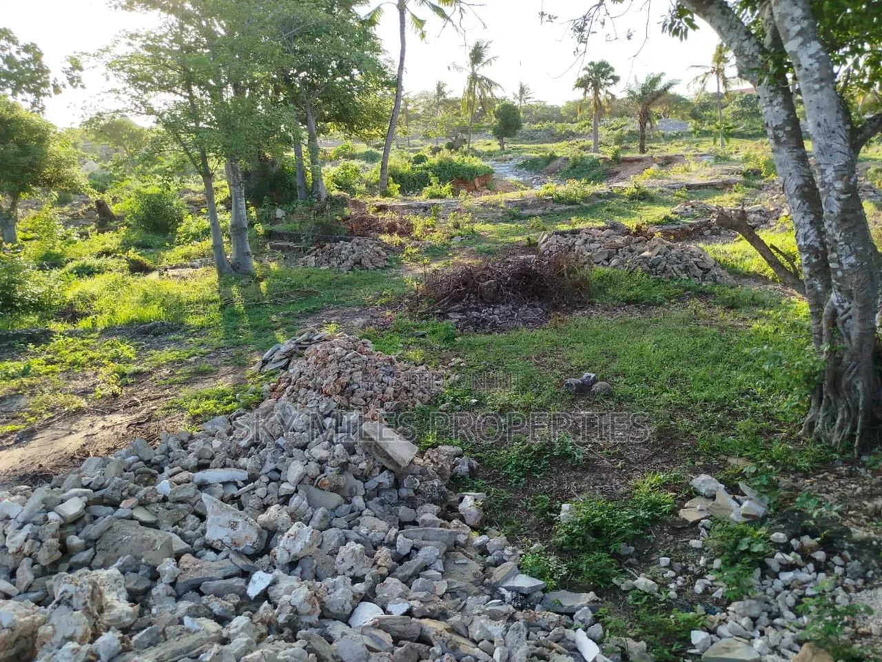 Malindi Casuarina, 7 Acres Beach Plot Available for Sale