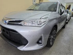 Toyota Corolla Fielder 2019 Silver