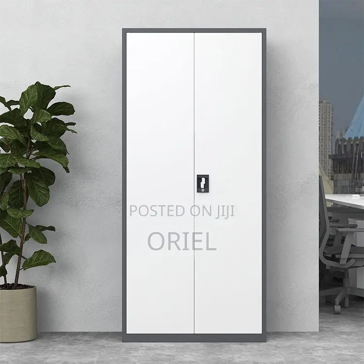 Office Cabinet : Lockable Two-Door Steel Filing Cabinet