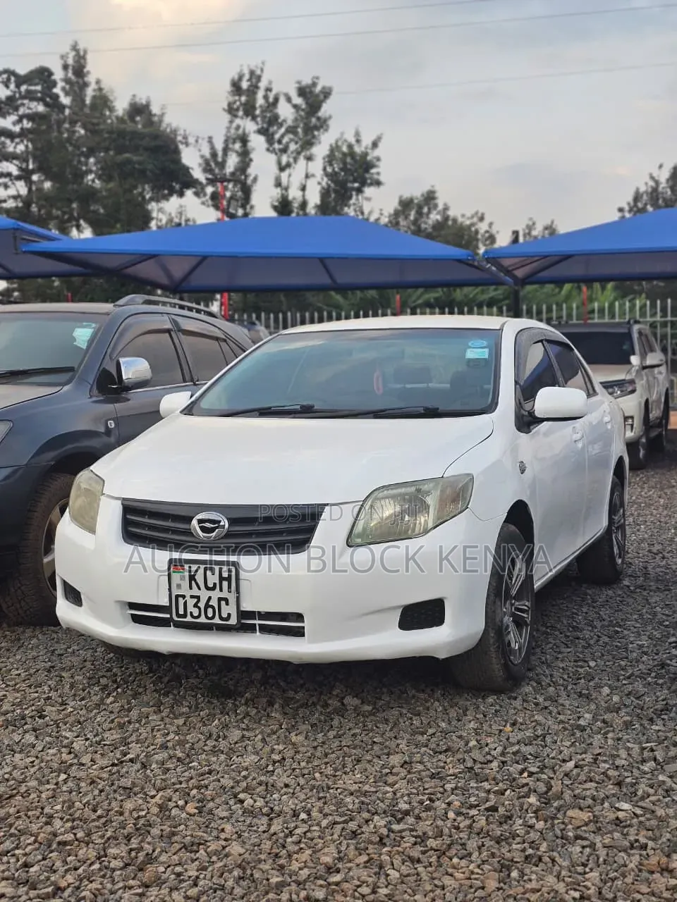 Toyota Axio 2009 White