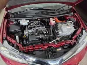 Toyota Corolla Fielder 2019 Red