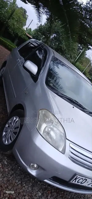 Toyota Raum 2009 Silver