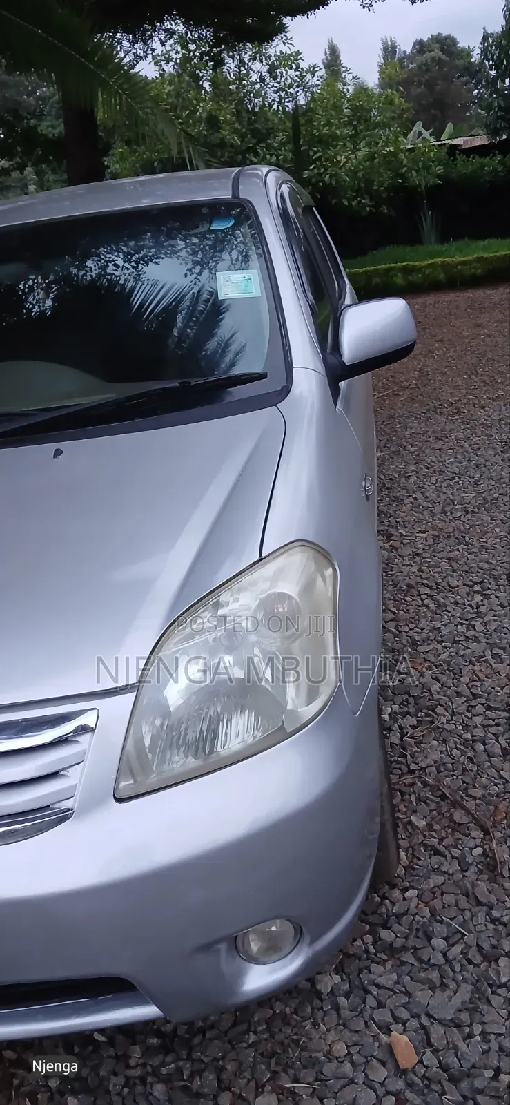 Toyota Raum 2009 Silver