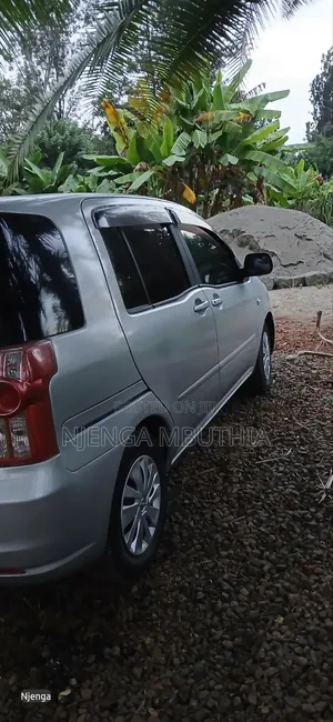 Toyota Raum 2009 Silver