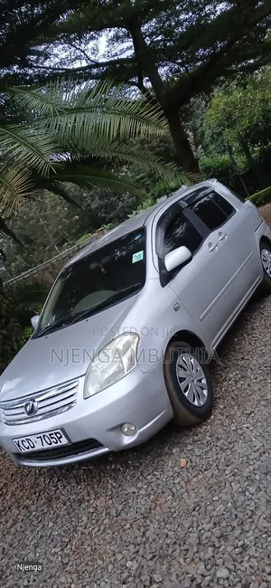 Toyota Raum 2009 Silver
