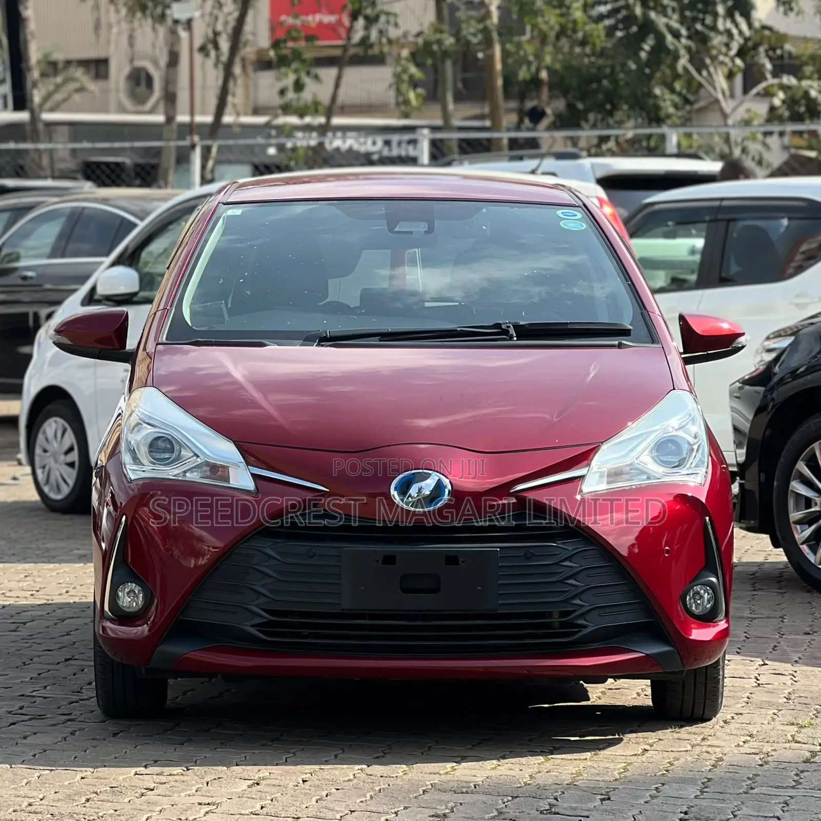 Toyota Vitz 1.5 FWD Hybrid 5dr 2019 Red