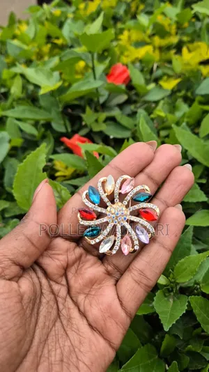 Cute Brooches