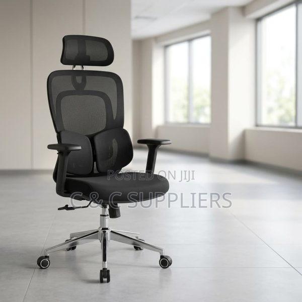 Modern Orthopedic Chair With Lumber Support