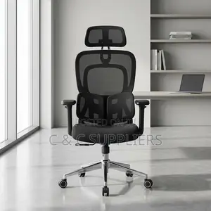 Modern Orthopedic Chair With Lumber Support