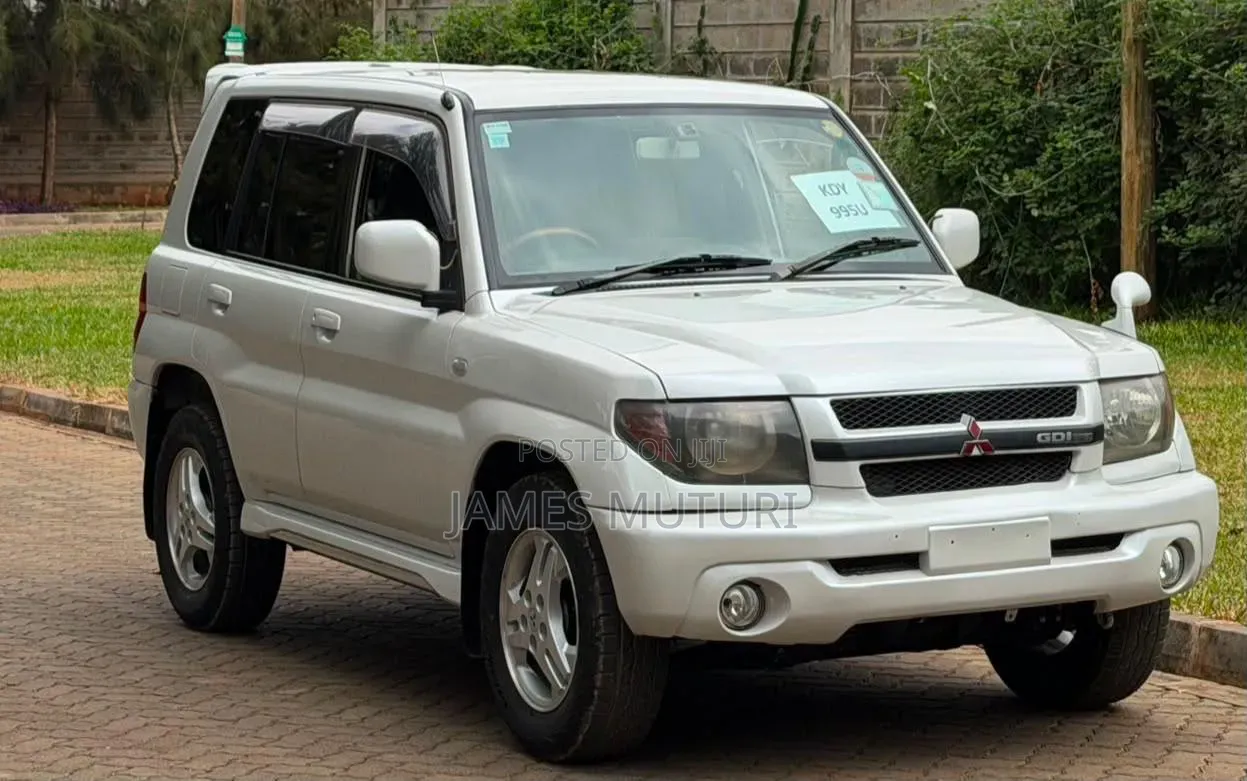 Mitsubishi Pajero 2004 Pearl