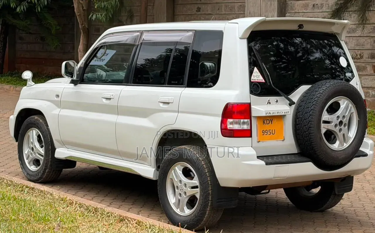 Mitsubishi Pajero 2004 Pearl
