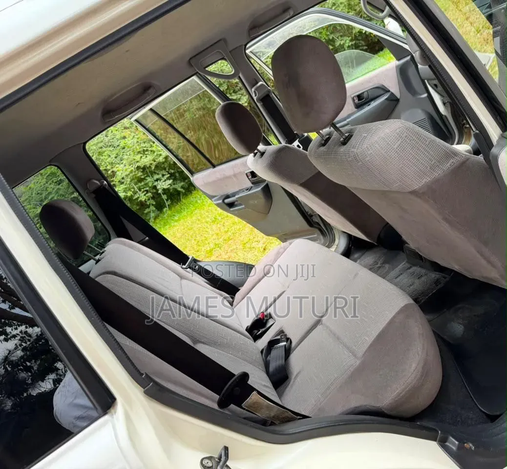 Mitsubishi Pajero 2004 Pearl