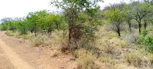 15 Acres for Sale at 300,000 Behind Ngong Hills