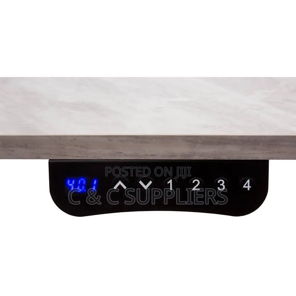 Ergonomic Electric Adjustable Workstation Desk - 1200mm