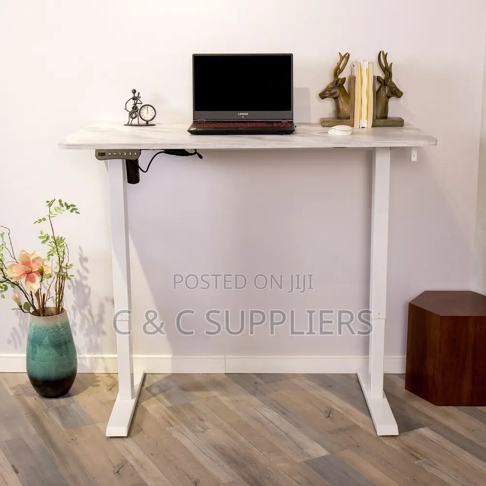 Ergonomic Electric Adjustable Workstation Desk - 1200mm