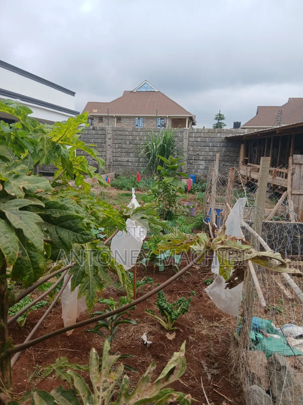 3bdrm Bungalow in Golfview Edtate, Bendor Estate for sale