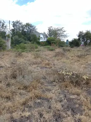 Two Separate 1/8 Acre Plots in Kitengela Rangers