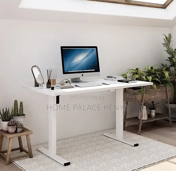 Electric Desk: Single Motor E Commerce Work Desk