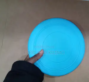 Soft Silicone Frisbee