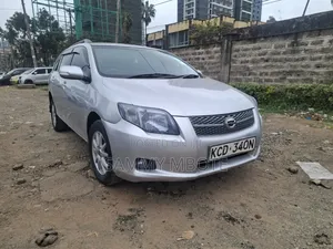 Toyota Corolla Fielder 2008 Silver