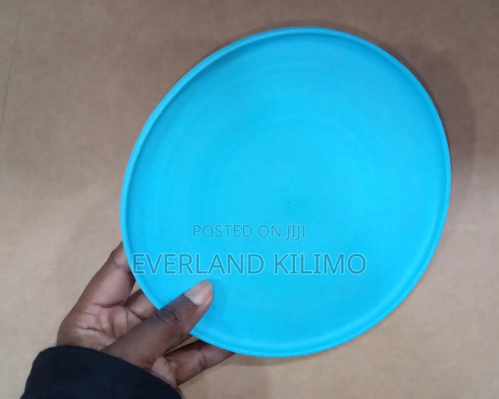 Flying Frisbee for Dogs