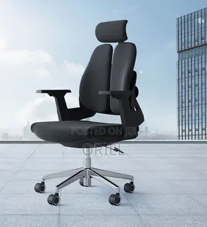 Office Chair : Lumbar Support Ergonomic Office Chair