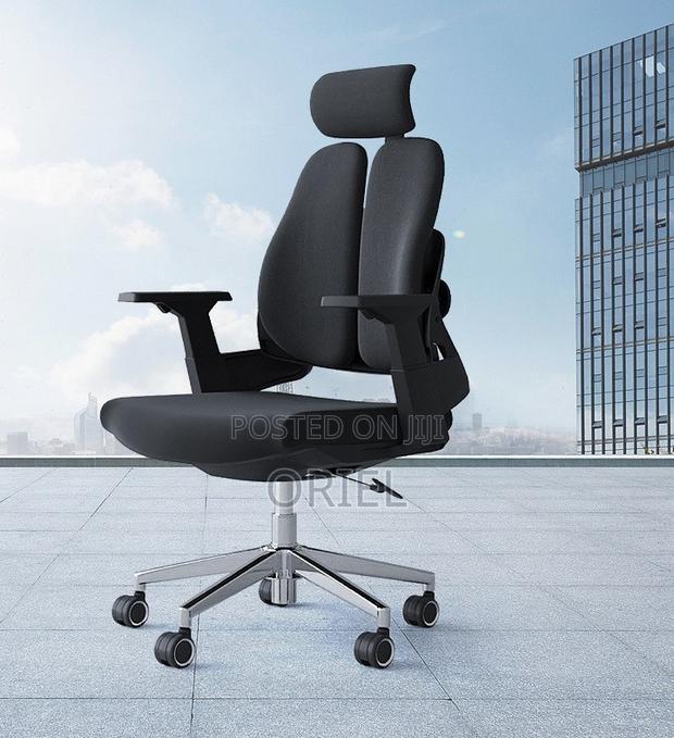 Office Chair : Lumbar Support Ergonomic Office Chair