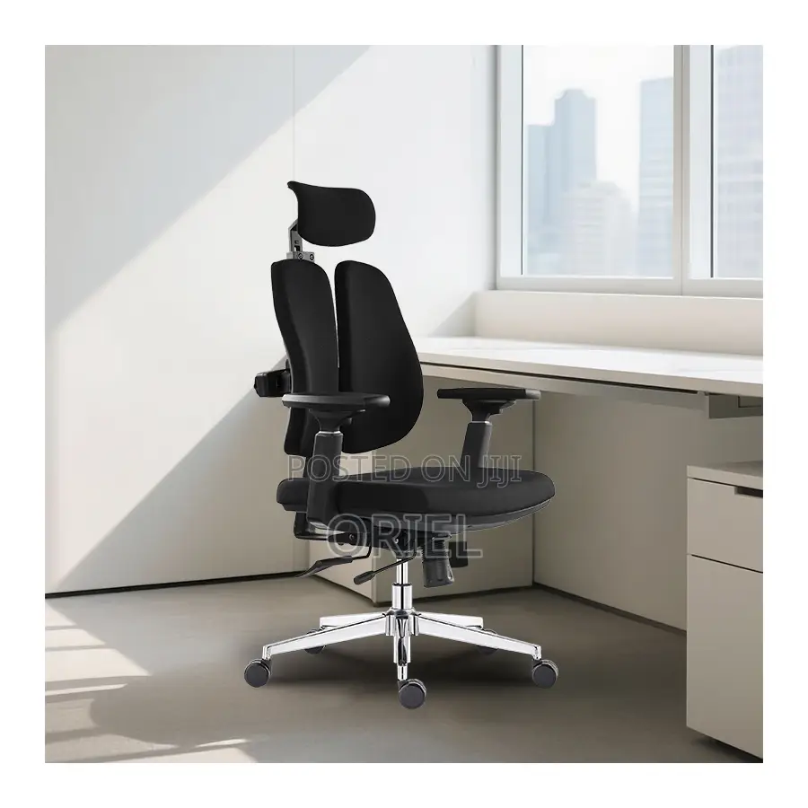 Office Chair : Lumbar Support Ergonomic Office Chair
