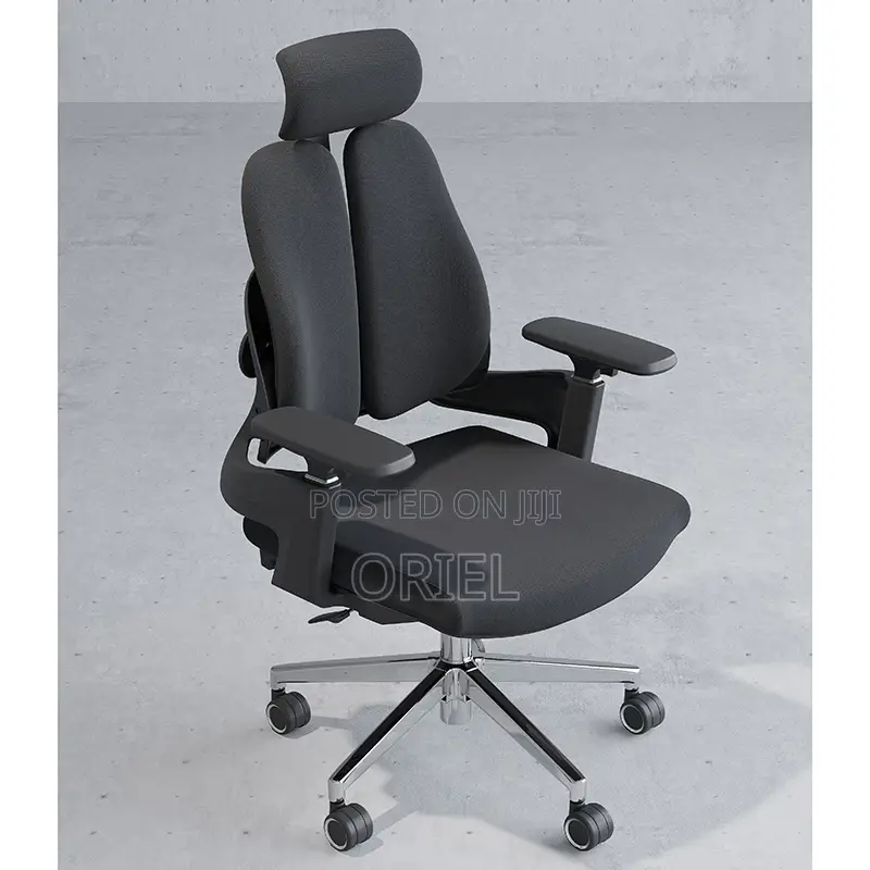 Office Chair : Lumbar Support Ergonomic Office Chair