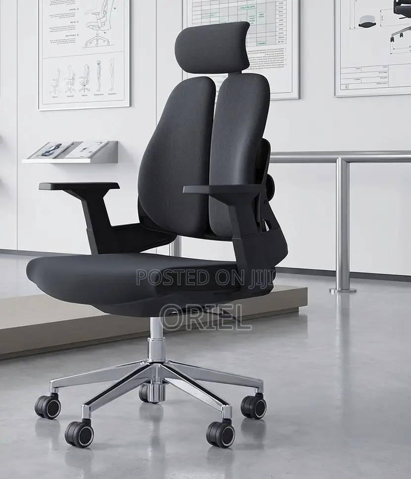 Office Chair : Lumbar Support Ergonomic Office Chair