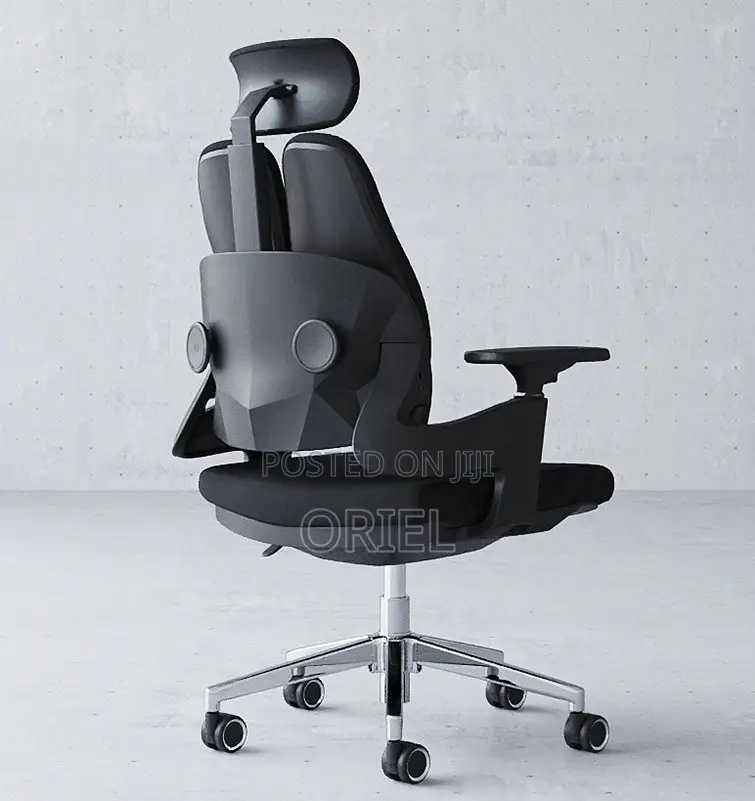 Office Chair : Lumbar Support Ergonomic Office Chair