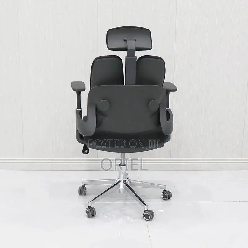Office Chair : Lumbar Support Ergonomic Office Chair