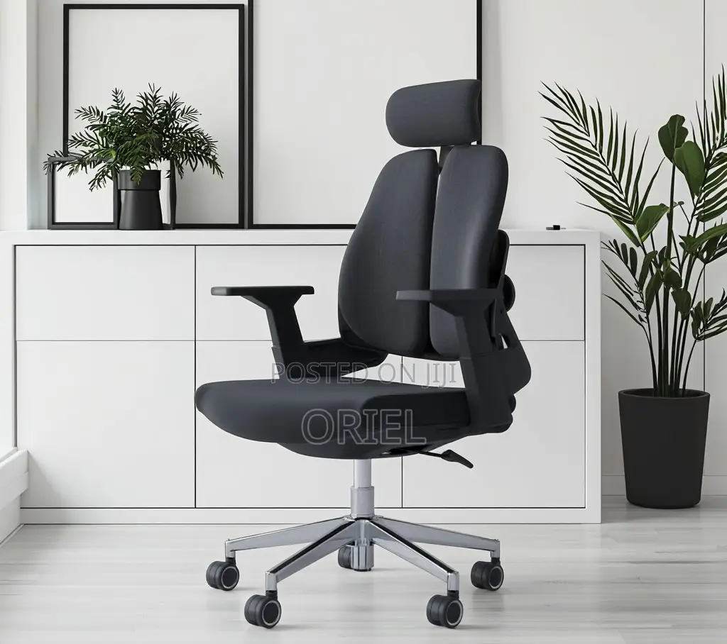 Office Chair : Lumbar Support Ergonomic Office Chair