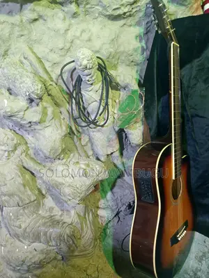 Semi Acoustic Guitar , Extra Five Set Strings, Capo, Bag, Electr-Cable