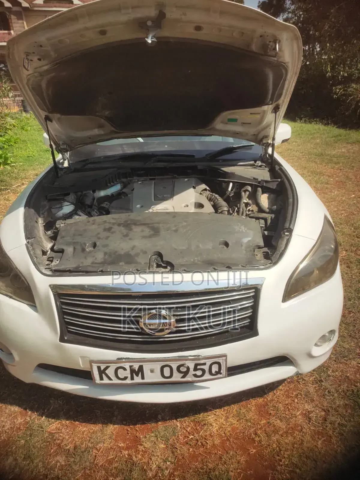 Nissan Fuga 2010 Pearl