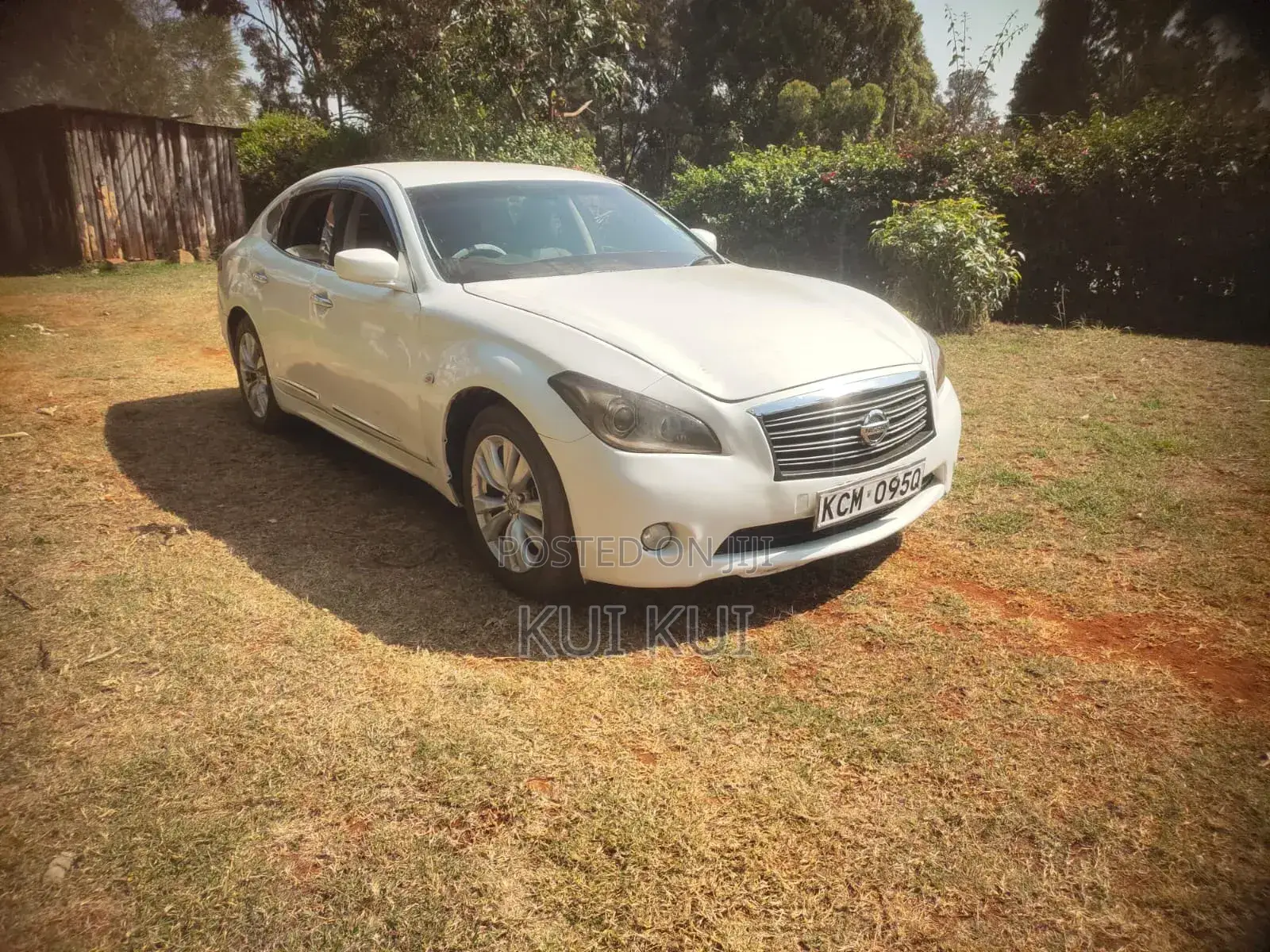 Nissan Fuga 2010 Pearl