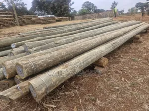 Fibre and Electricity Poles