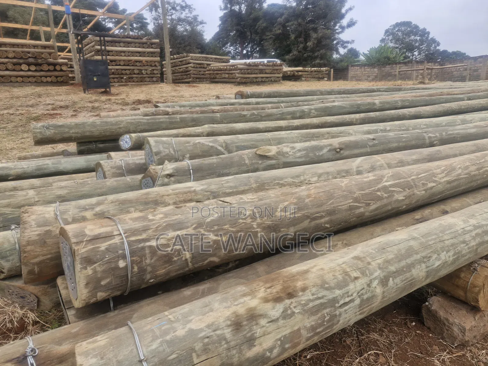 Fibre and Electricity Poles