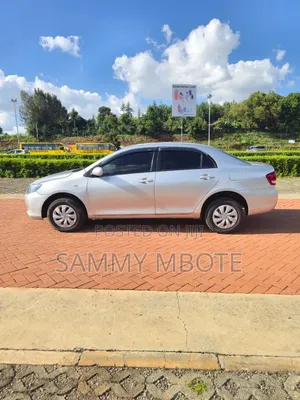 Toyota Axio 2008 Silver