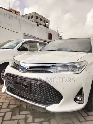 Toyota Corolla Fielder 2019 White