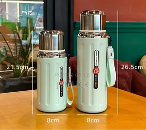600ml Stainless Steel Vacuum Flask - Hk