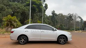 Toyota Premio 2009 Silver