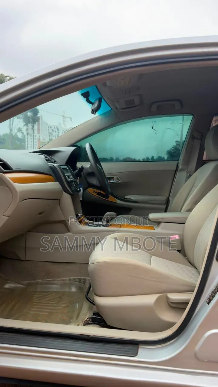 Toyota Premio 2009 Silver