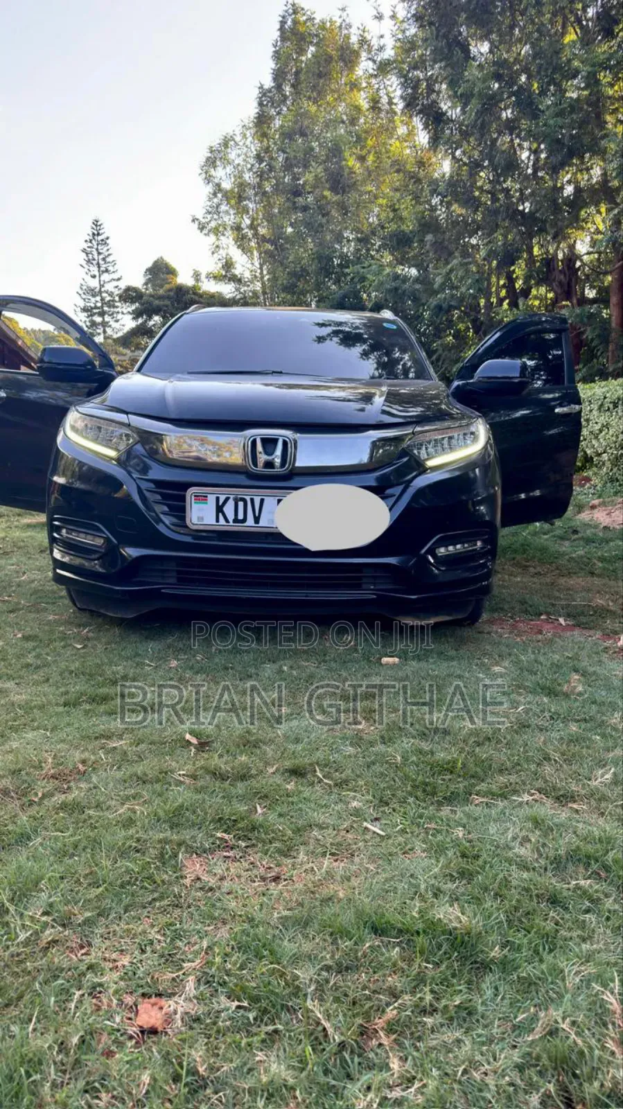 Car Hire Services