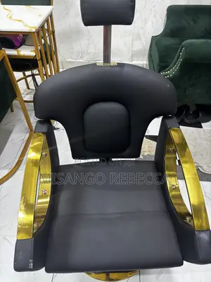 Salon Chair Recliner