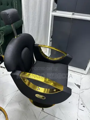 Salon Chair Recliner